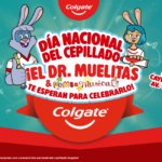 DÍA NACIONAL DEL CEPILLADO BOGOTÁ